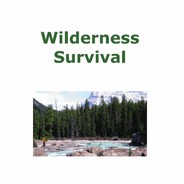 Cover of Wilderness Survival: Basic Survival Skills book available free at Ardbark.com, featuring essential prepping, SHTF, and wilderness survival tips for emergencies.